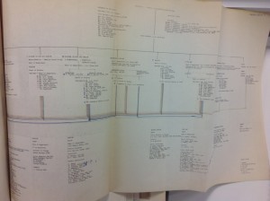 DipAD Staff Structure 1