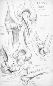 KMCAT012_Freeman Elbow Joint